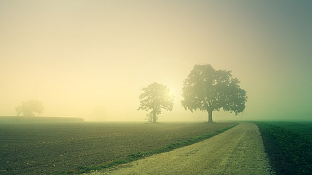 Bestattung_dawn-3804124_640.jpg Weg führt in helles Licht