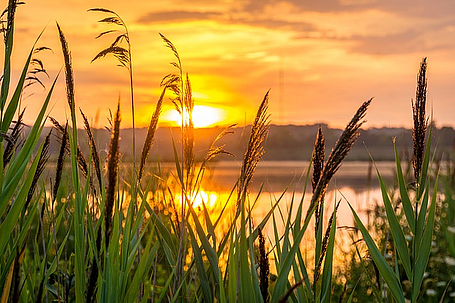 Wiedereintritt_sunrise-1670979_640.jpg